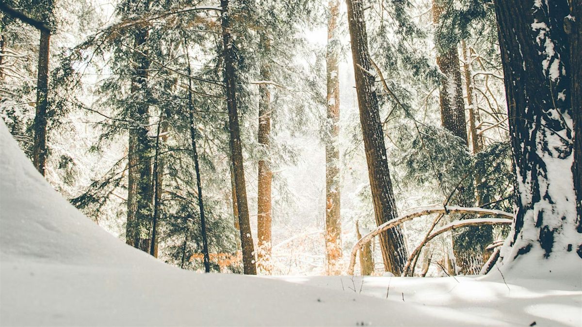 Winter Solstice Gathering