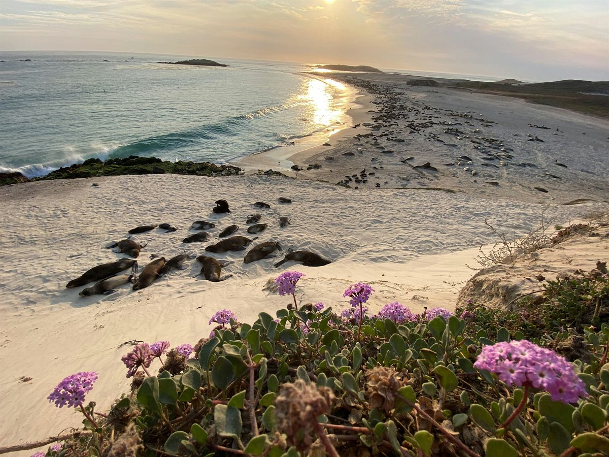 Channel Islands Conservation: The View from a Kayak