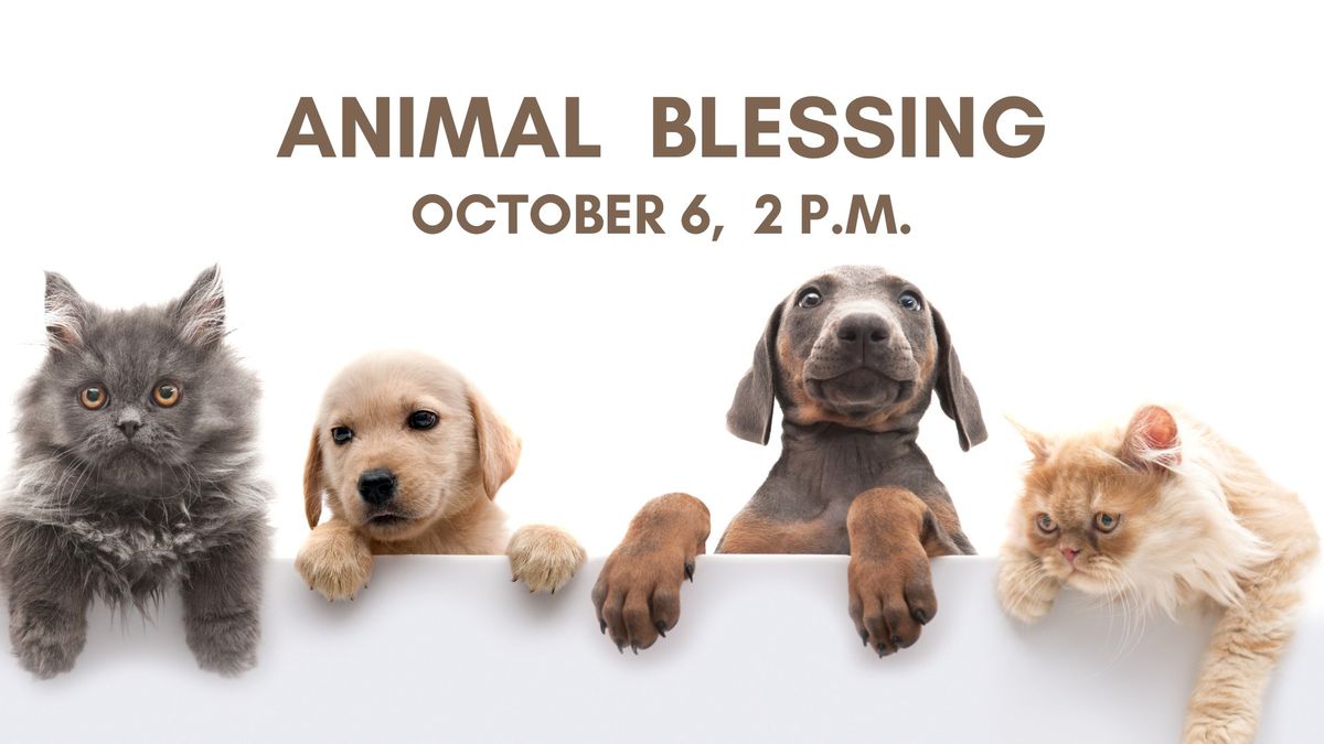 Animal Blessing Service