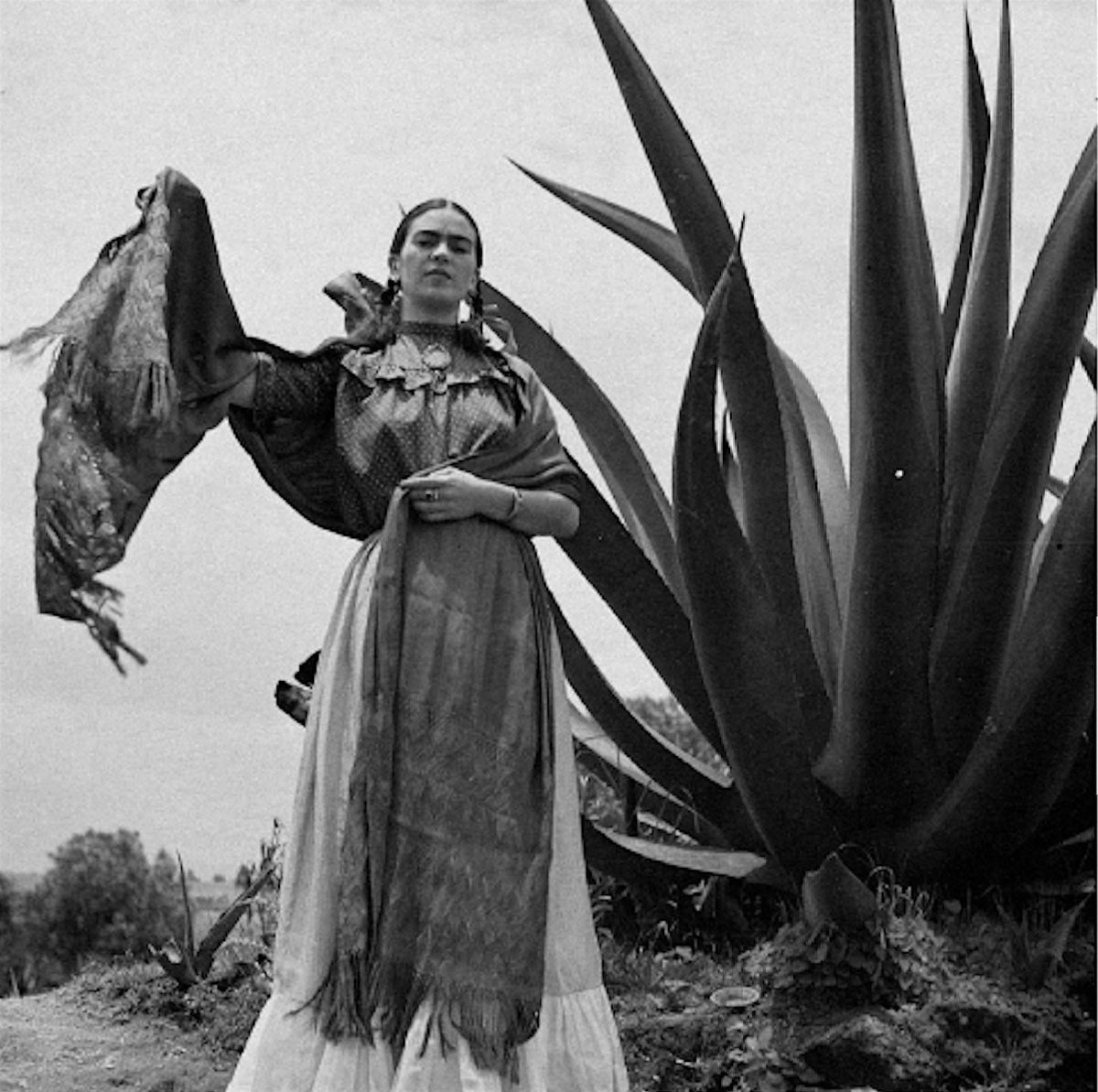 Stem's Cocktail Dinner Series: All Agave