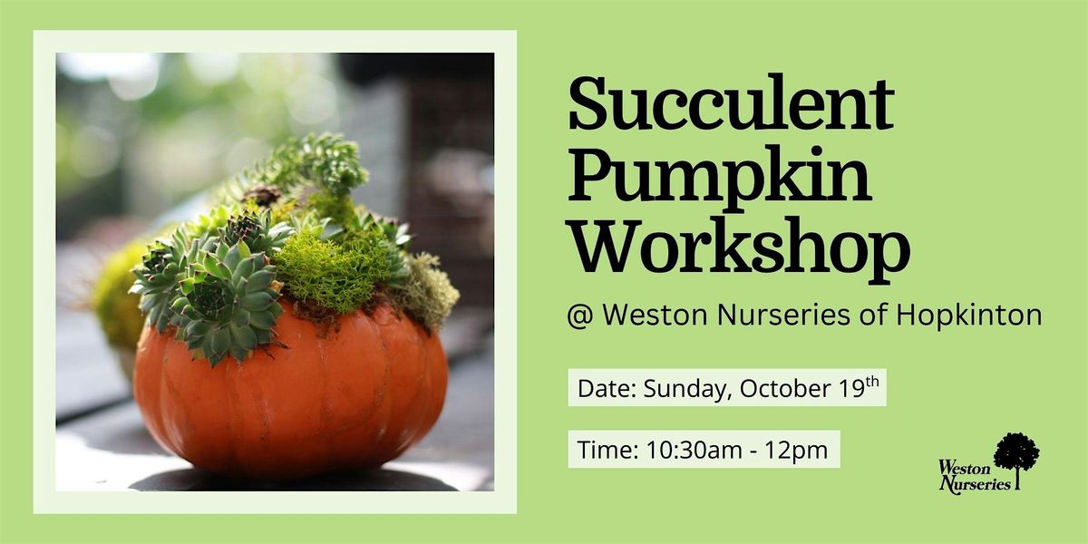 Succulent Pumpkin Workshop