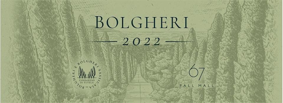 2022 Bolgheri Anteprima