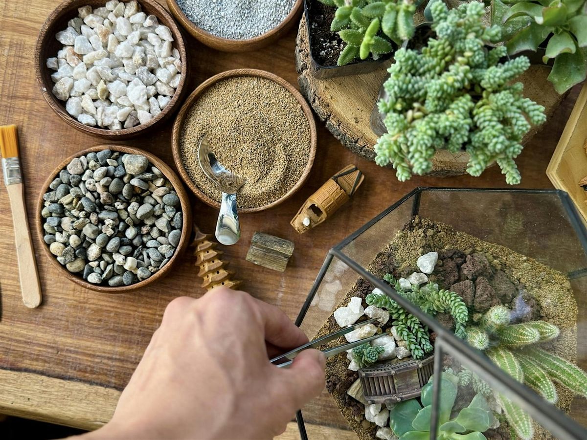 Mini-Ecosystem Terrarium Making Workshop
