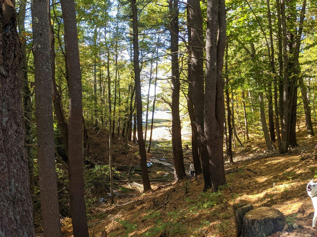 Lunch + Learn: Connecting Communities Through Trails