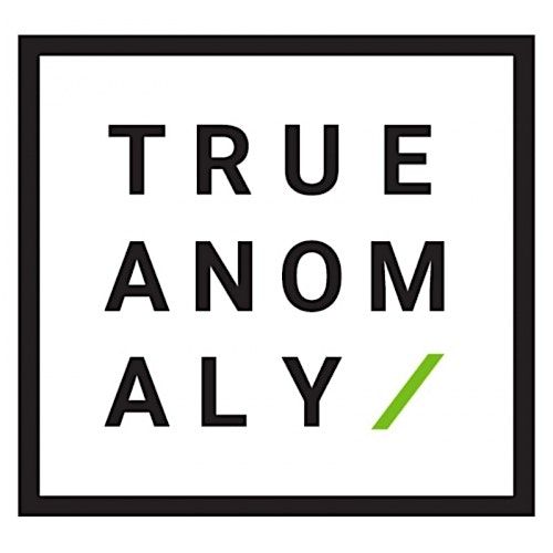 Speed Puzzling Event with Puzzle Buzz at True Anomaly Brewing CO.