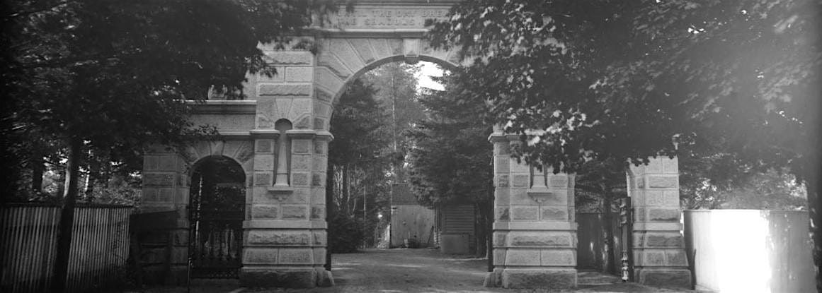 Solstice in the Cemetery: Night Walk Through Oak Hill