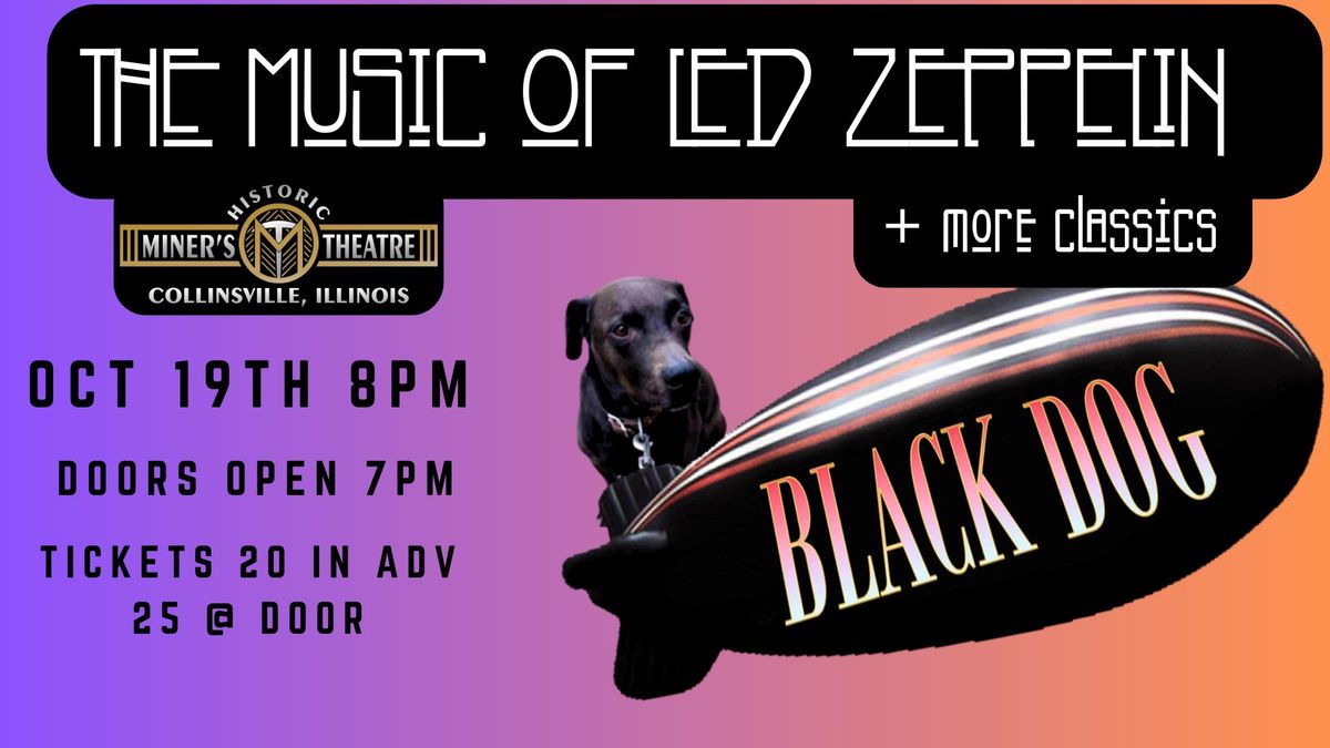 Black Dog - The Music of Led Zeppelin and much more!!