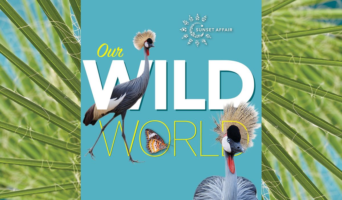 Sunset Affair: Our Wild World in support of Como Park Zoo & Conservatory