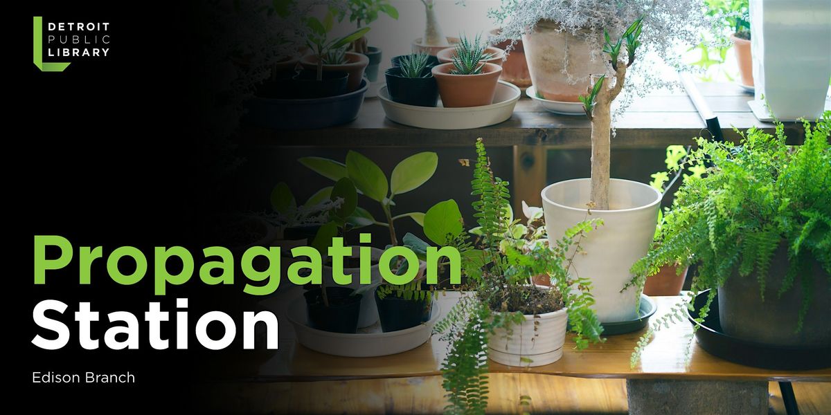 Propagation Station