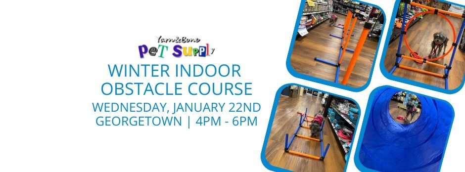 Winter Indoor Obstacle Course