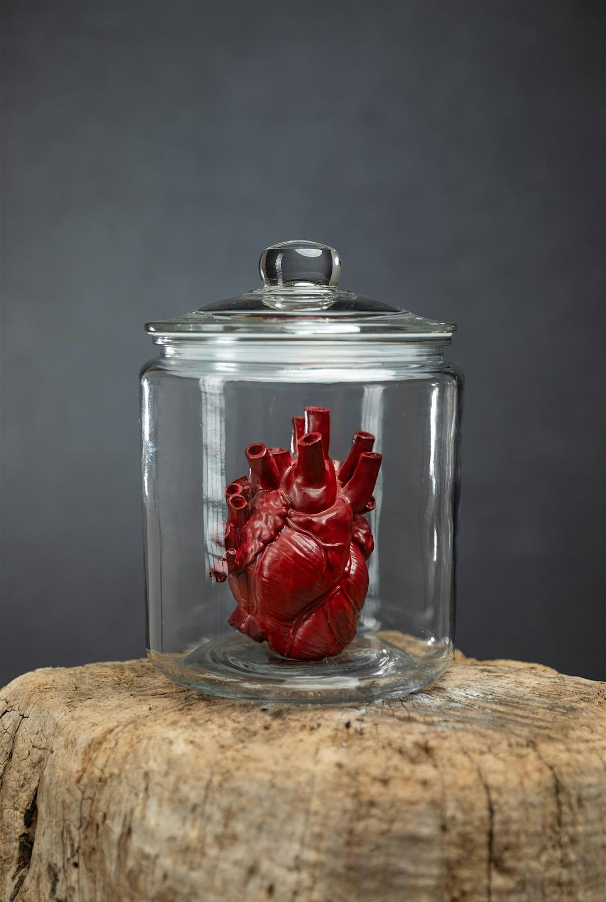 Heart in a Jar - with Lara McClure