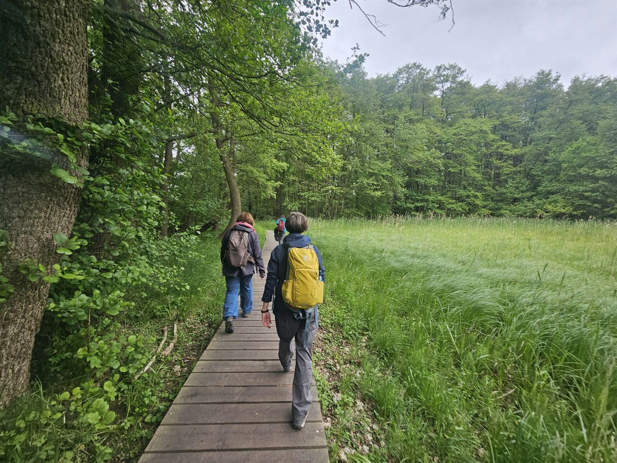 "Vision und Klarheit" - eine Coaching Wanderung