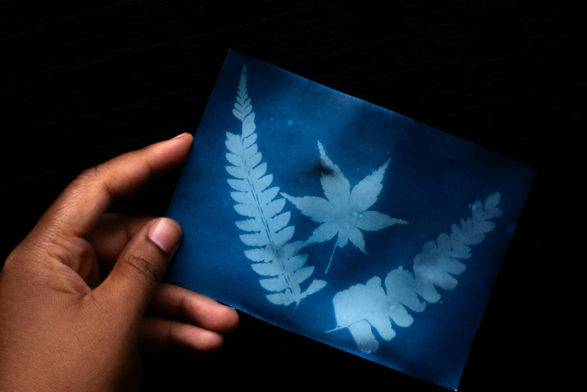 Expressions in Blue: A Cyanotype Workshop