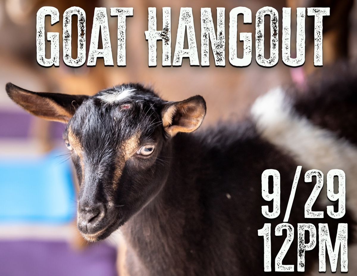 Baby Goat Hangout