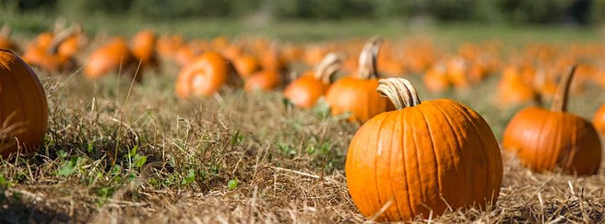 The Woodmont Farm Pumpkin Patch