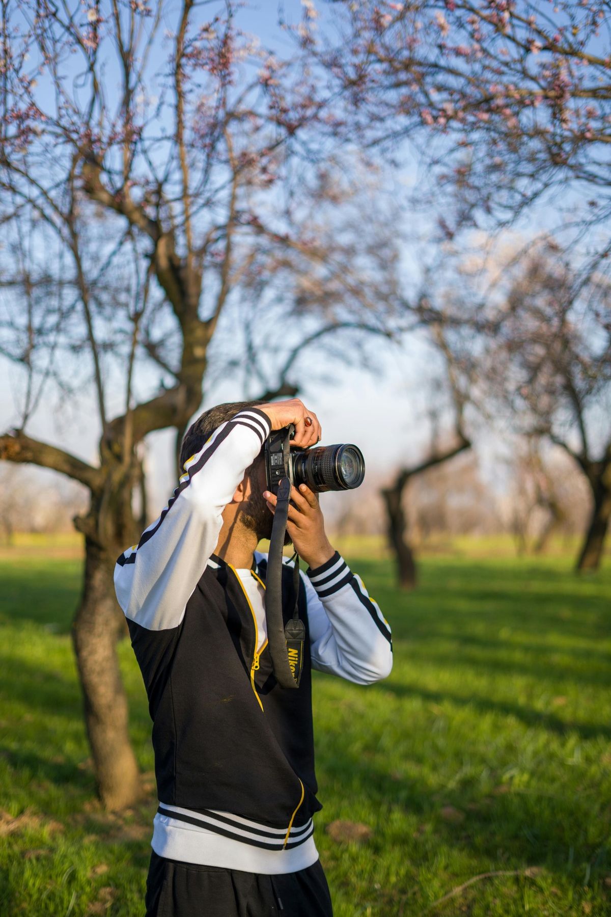 Photography for Newbie\u2019s: DSLR Provided