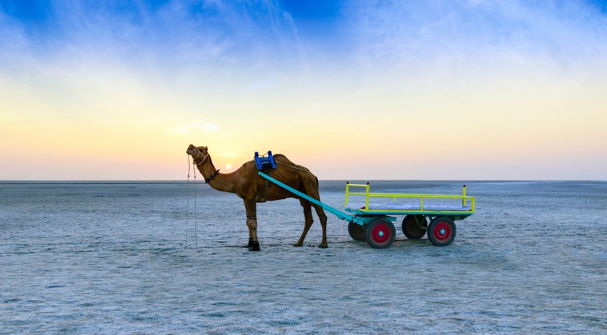 Rann of Kutch Festival