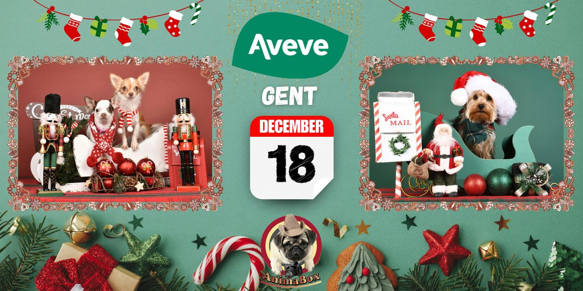 AVEVE GENT FOTOSHOOT