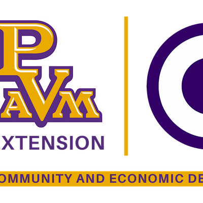 PVAMUxCED