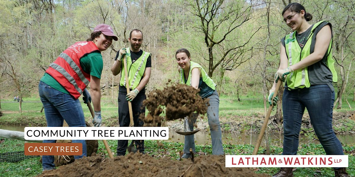 Community Tree Planting: Catholic University of America