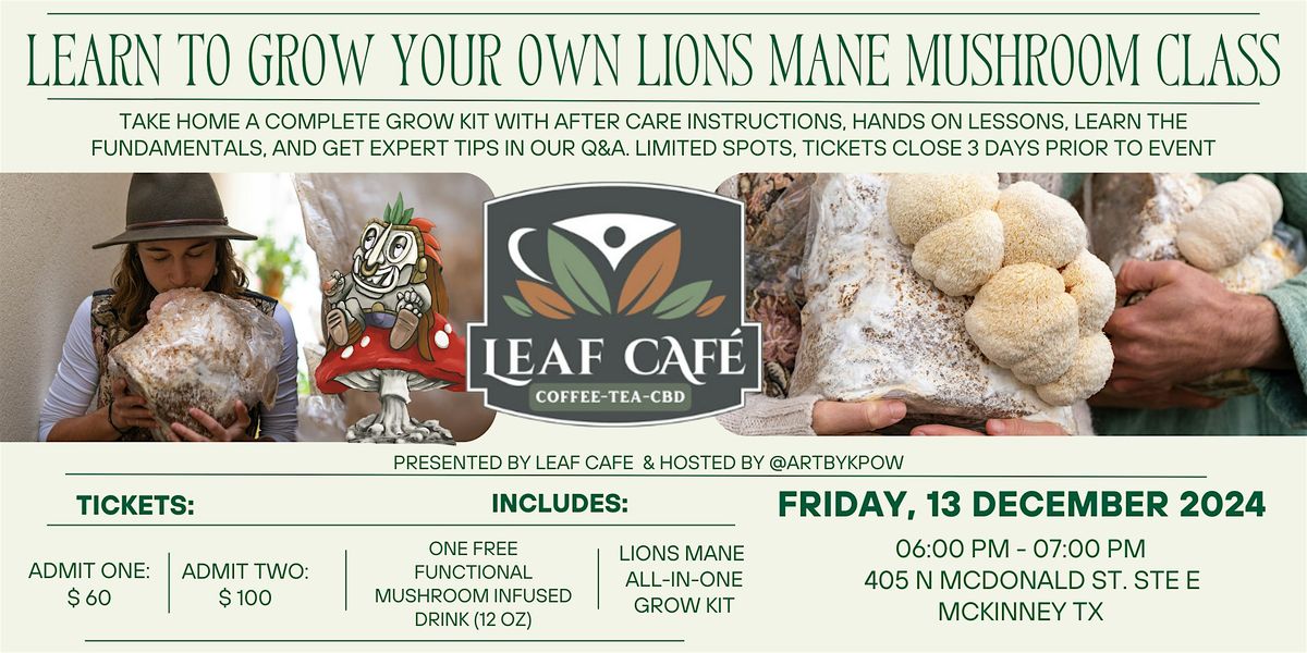 Grow your own lion's mane mushroom class