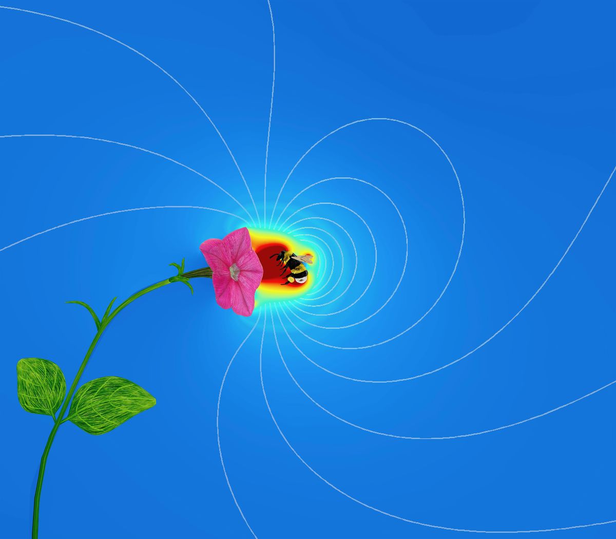 Science Cafe - Bees, Flowers and Electric Fields