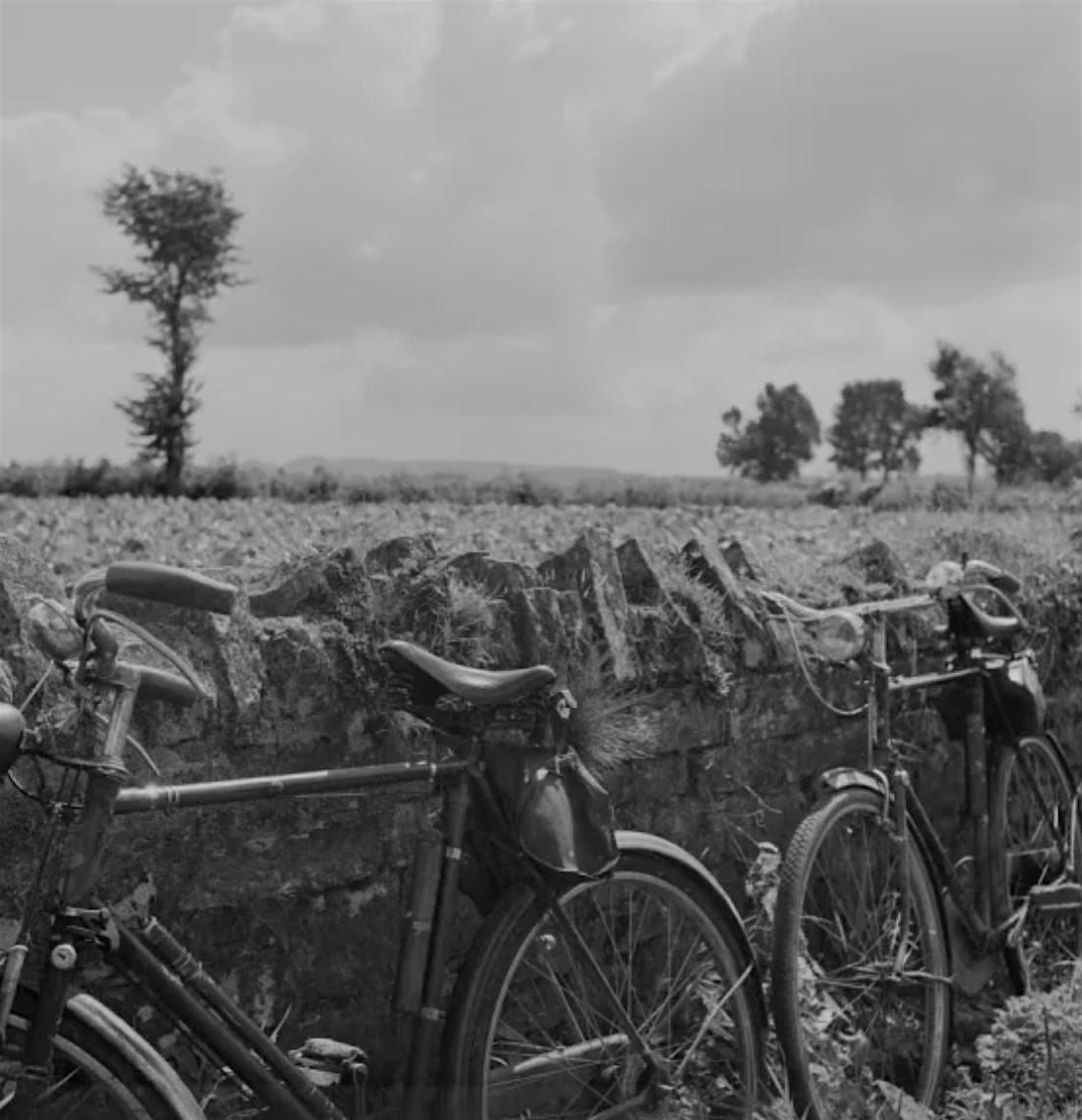 AYUP Bike Ride from Electric Daisy to Elvaston Castle (return)