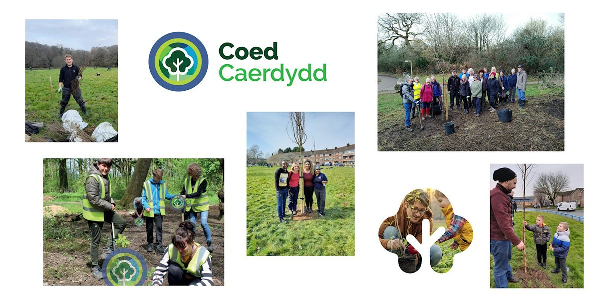 Tree planting - Jellicoe Gardens, Cyncoed