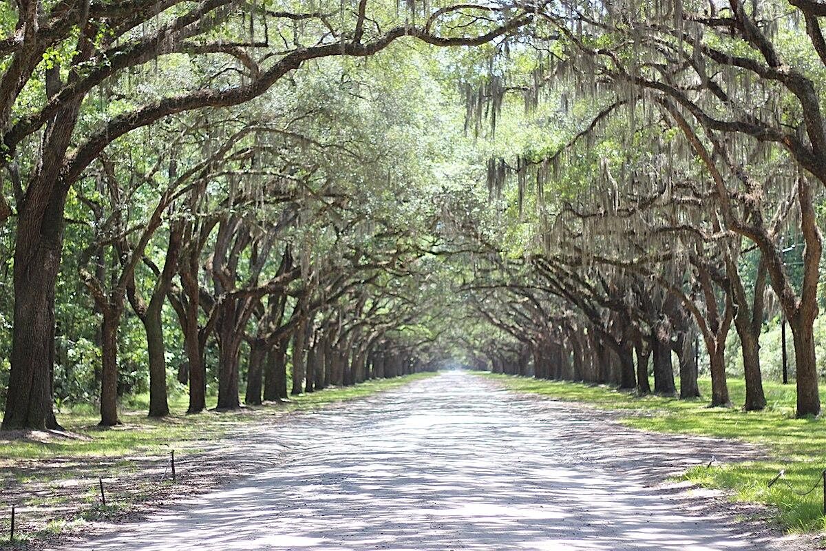 Wormsloe Christian Singles Tour