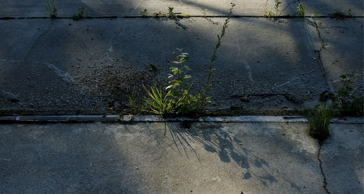 Workshop:Photography & the Built Environment with Mark Shiel & Alice Clancy