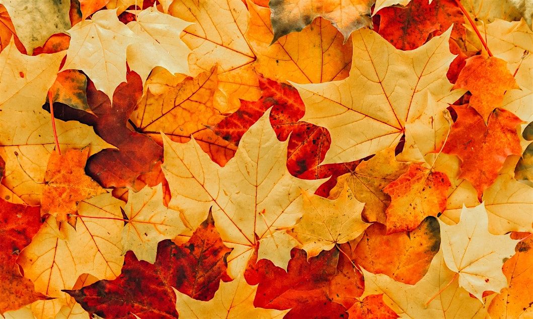 Fall Scavenger Hunt: Children's Program, $4 per child upon arrival