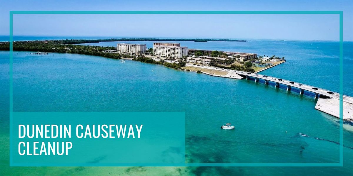 Hurricane Eddie's Dunedin Causeway Cleanup