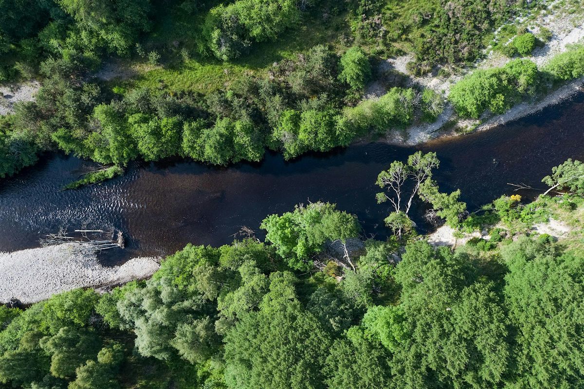 Learning Day: Restoring Wild Rivers