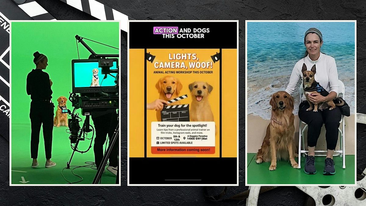 Lights, Camera, Woof!