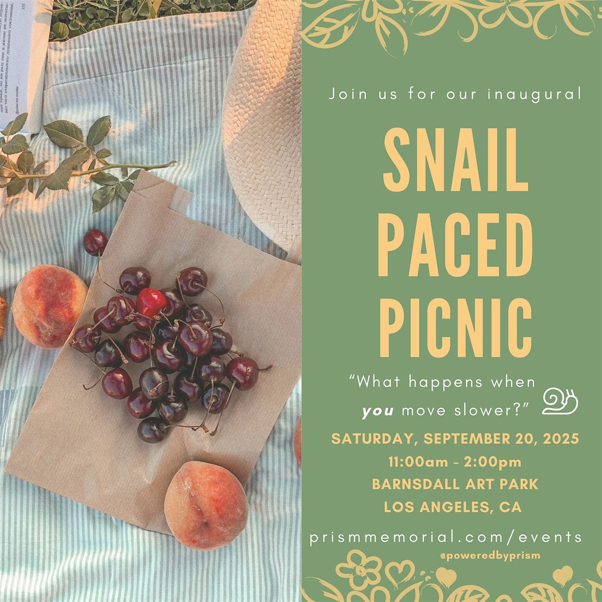 The Snail Paced Picnic