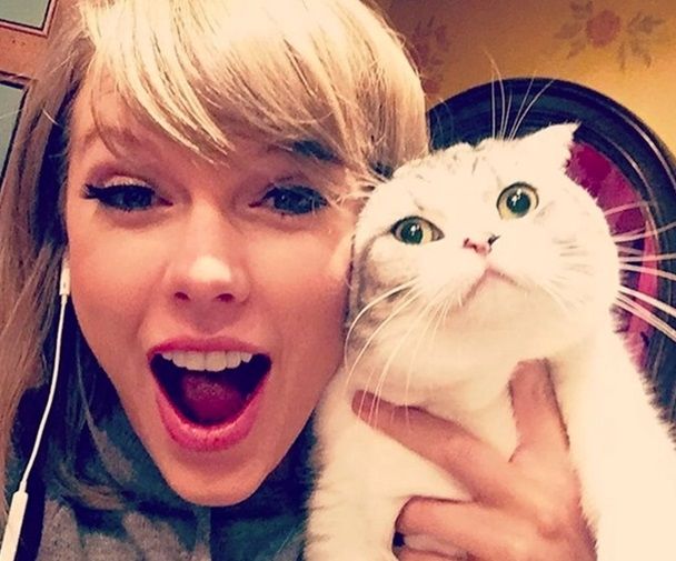 Taylor Swift Bracelet Making and Complete the Lyric Event **November 3rd with Smitten Kitten Cat Caf