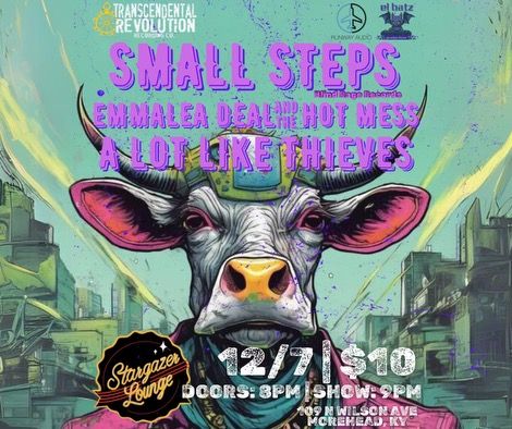 Morehead Punk Party w\/ Small Steps, Emmalea Deal & the Hot Mess, A Lot Like Thieves 