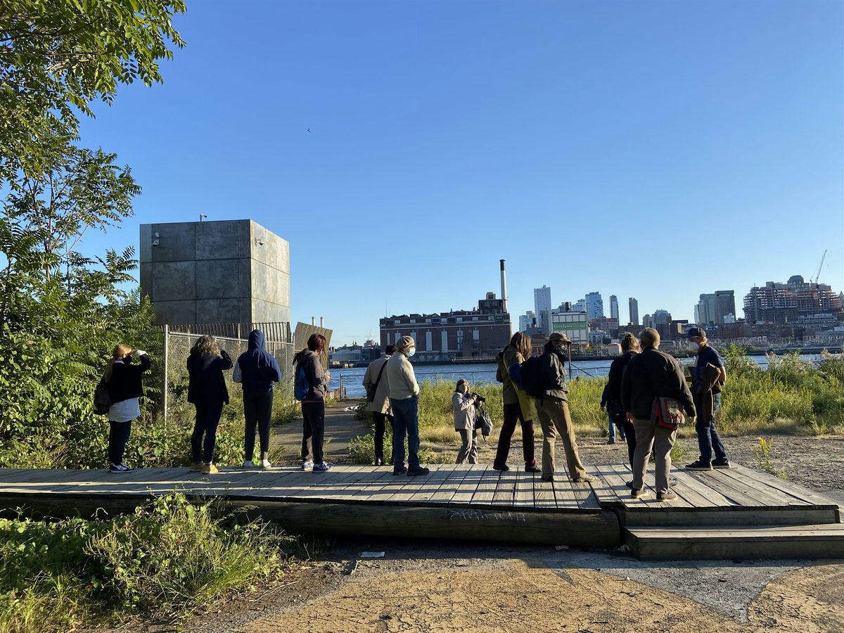 Live Guided Birding tour at Governors Island Park With LESC and Elijah