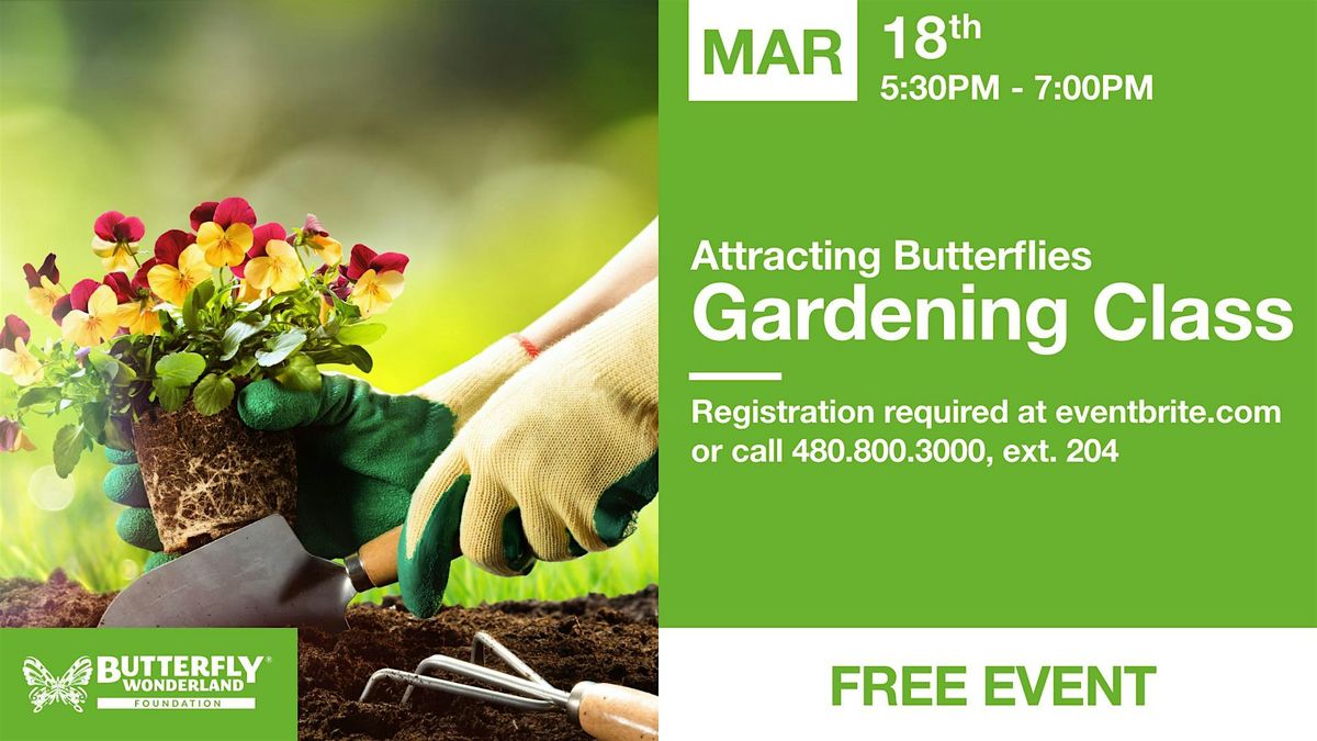 Butterfly Wonderland - How to Build a Spring Pollinator Garden