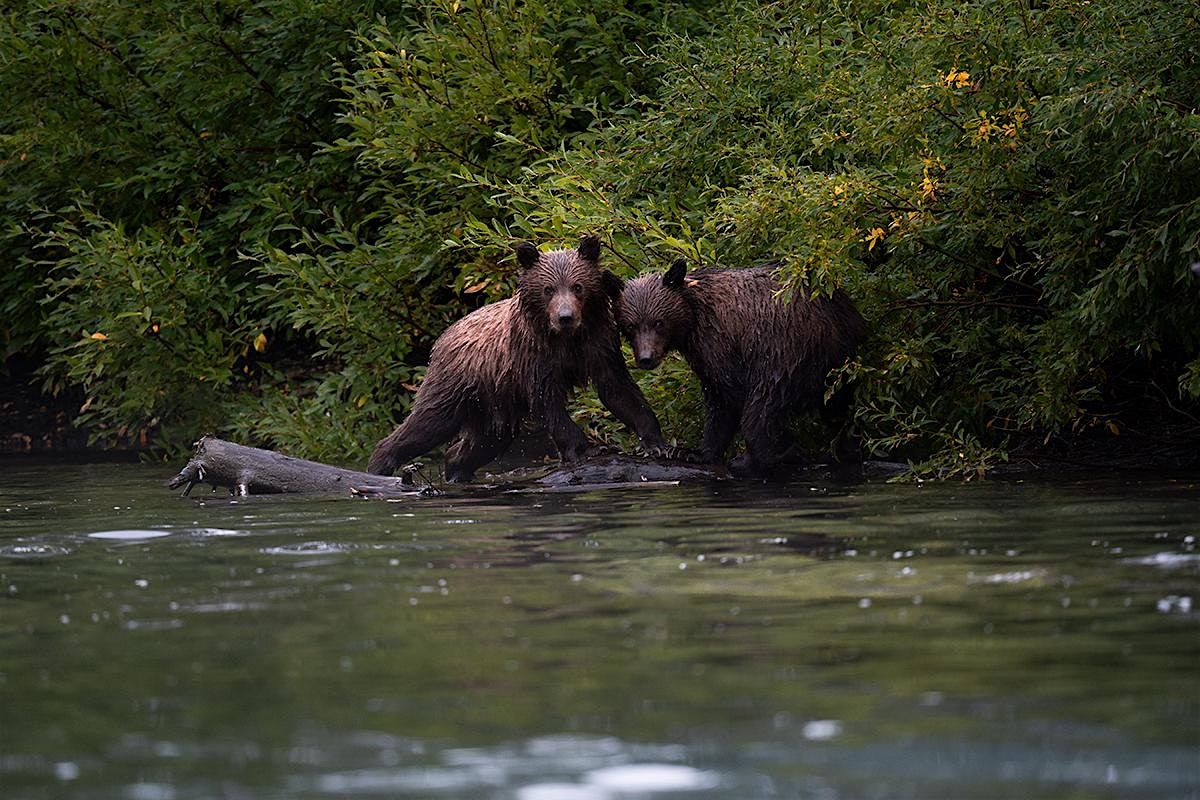 Wildlife Photography Workshop Sponsored by Tamron