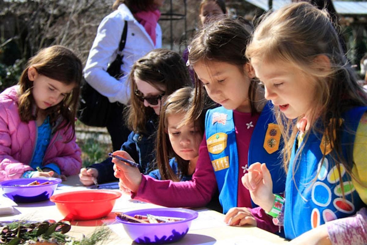 Scout Fun Day
