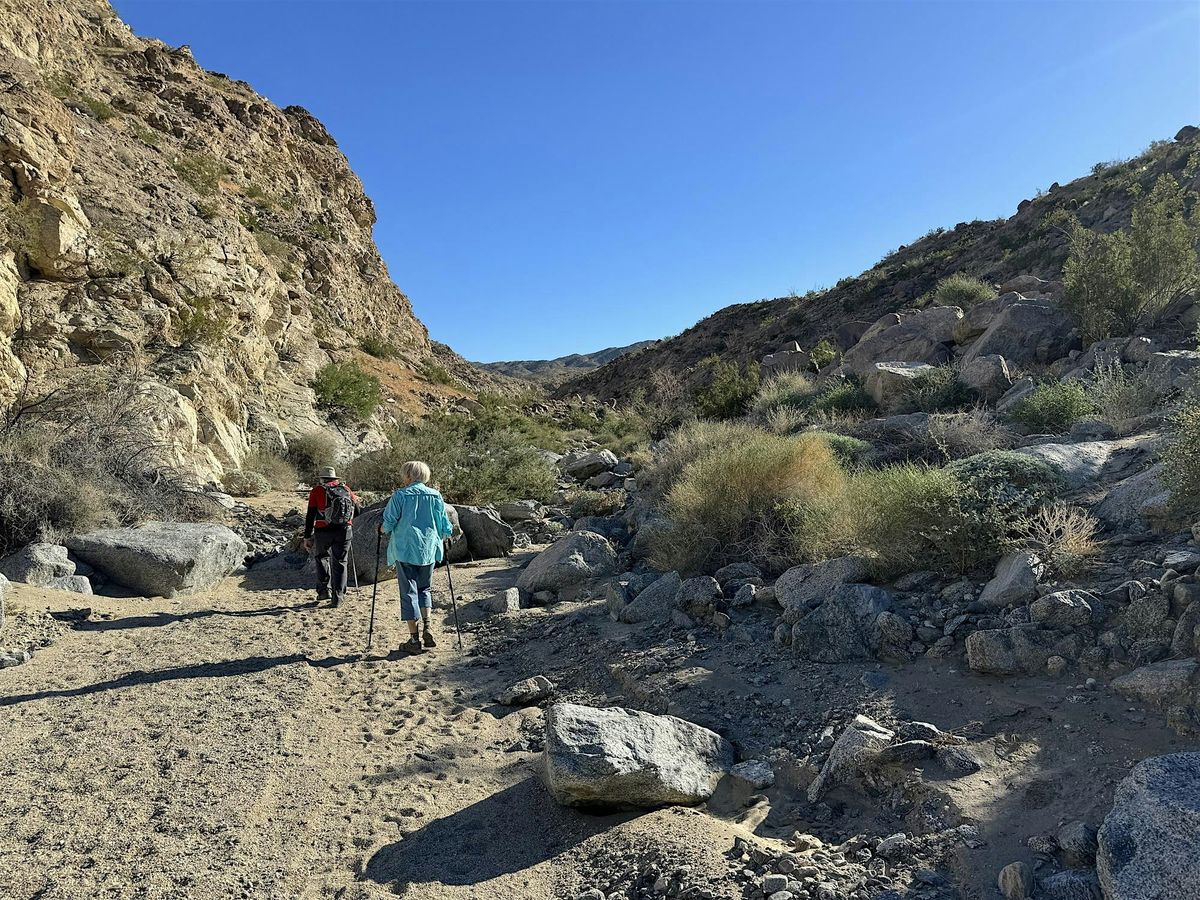 Bear Creek Wash Trail Hike