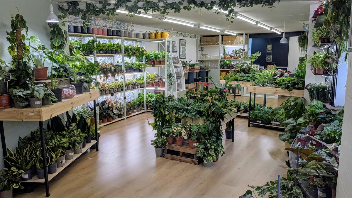 Lincoln Halloween Plant Swap