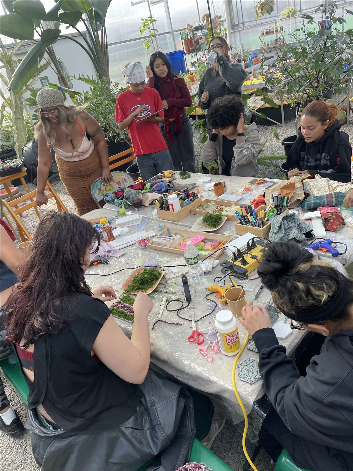 Gay in The Garden : Botanical Suncatchers