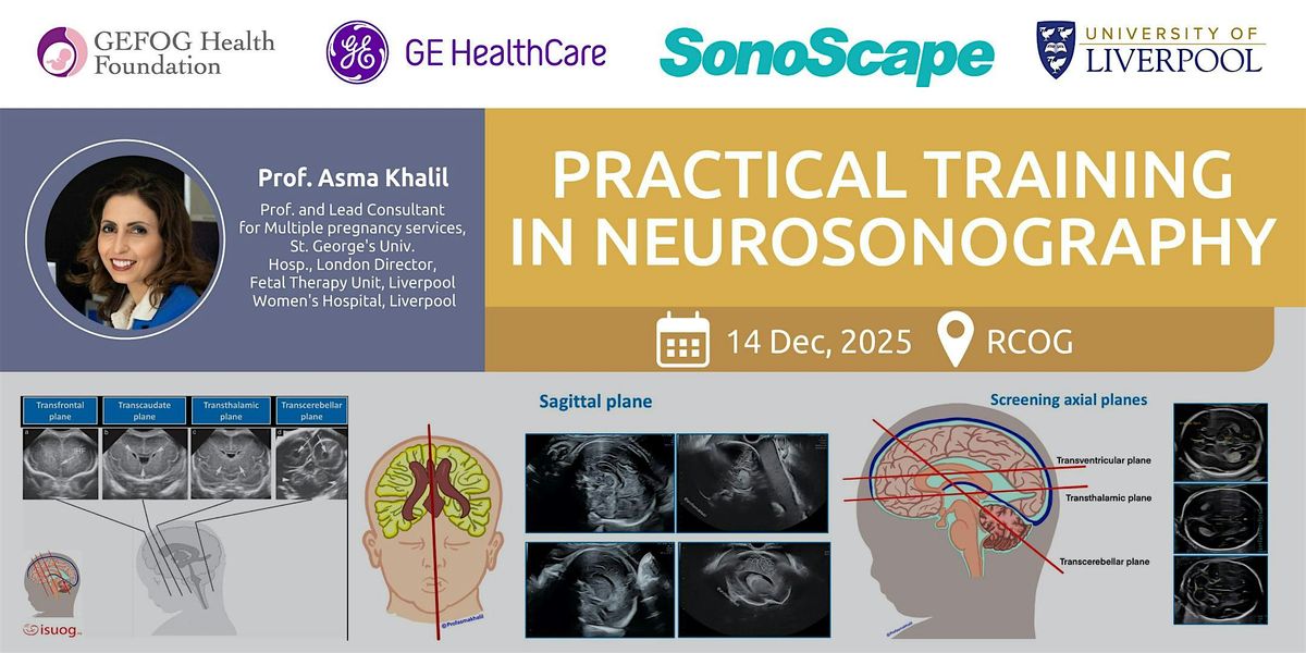 Practical training in Neurosonography