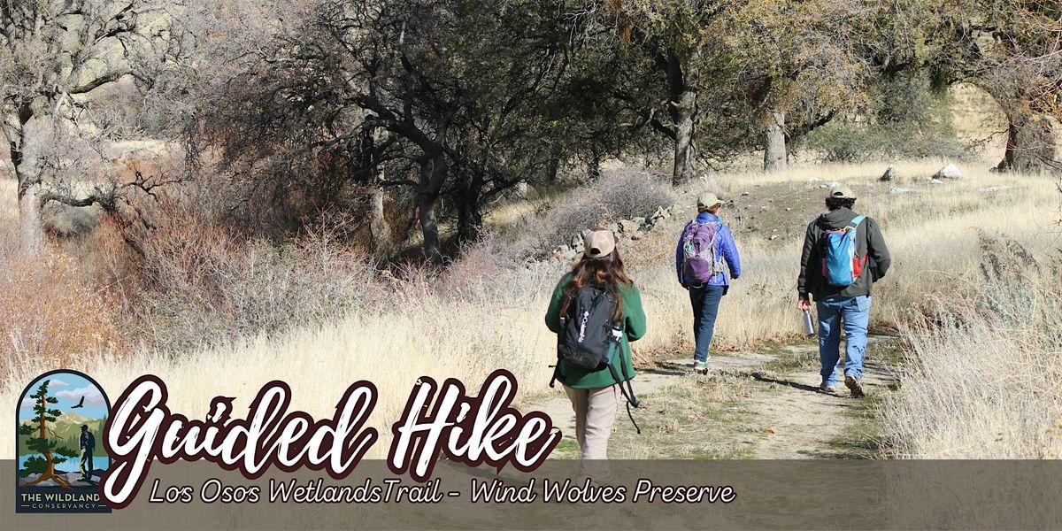 Backcountry Hike: Los Osos Wetlands Trail - Wind Wolves Preserve