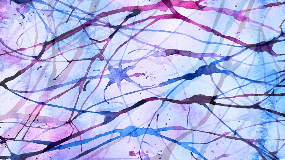 Under the Microscope: Art & Science for Curious Minds