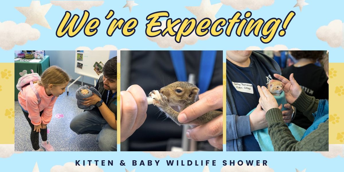 We're Expecting! Kitten & Baby Wildlife Shower