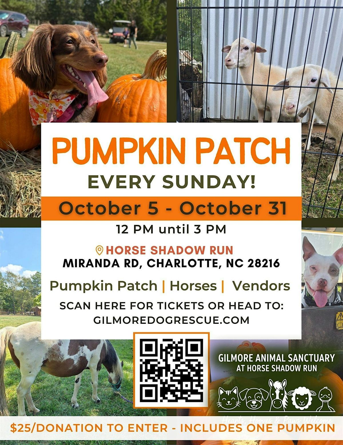 Fall Pumpkin Patch Fundraiser!