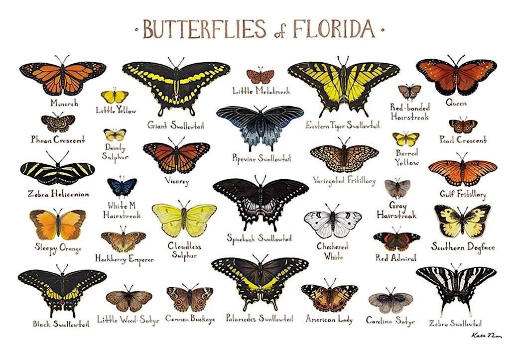 Gardening with Butterfly Host Plants